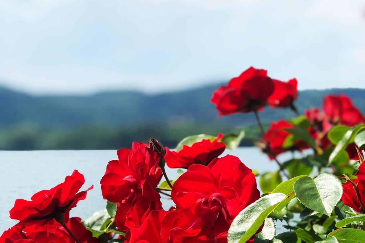 Casa Gaiani Villetta In Riva Al Lago Vista Mozzafiato Varano Borghi Dış mekan fotoğraf